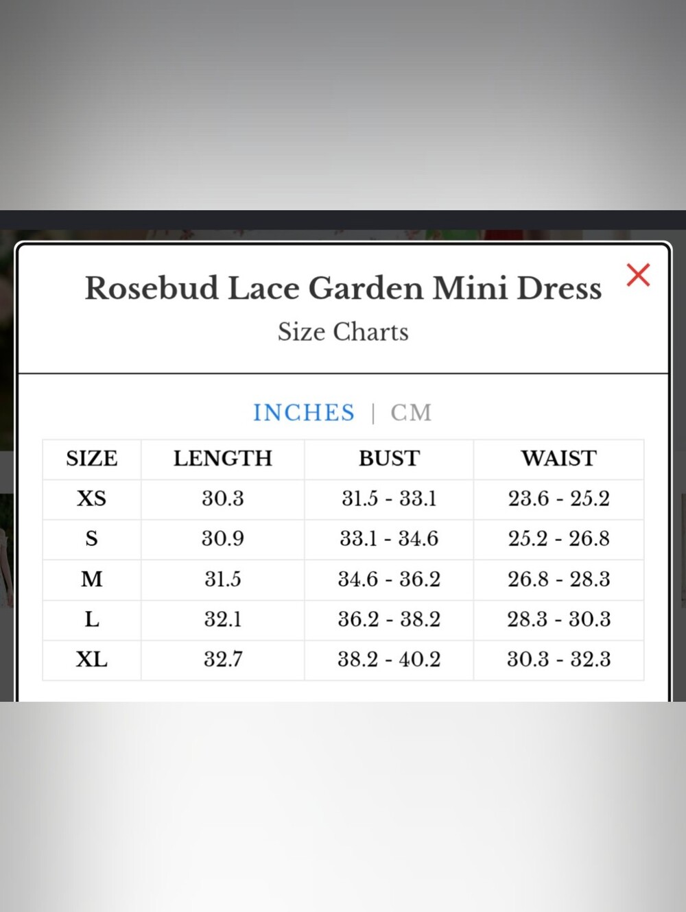 Lacemade Rosebud Lace Garden Mini Dress – XL - Picture 9 of 9